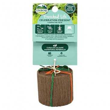 Enriched Life Celebration Cupcake V723381