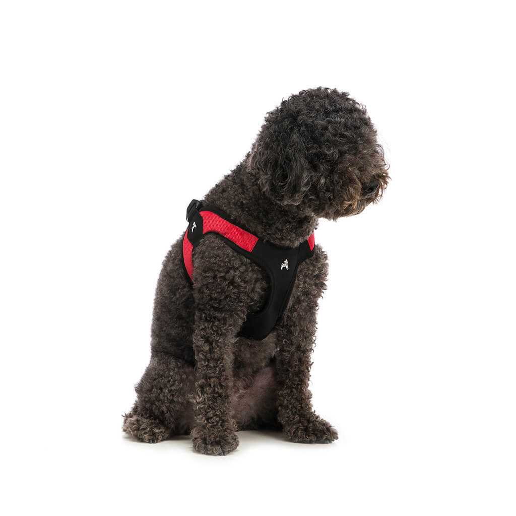 Dog Harness B23985