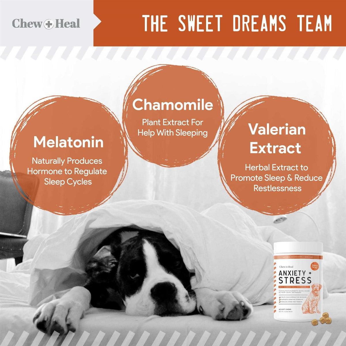 Anxiety & Stress Calming Soft Chews H450778
