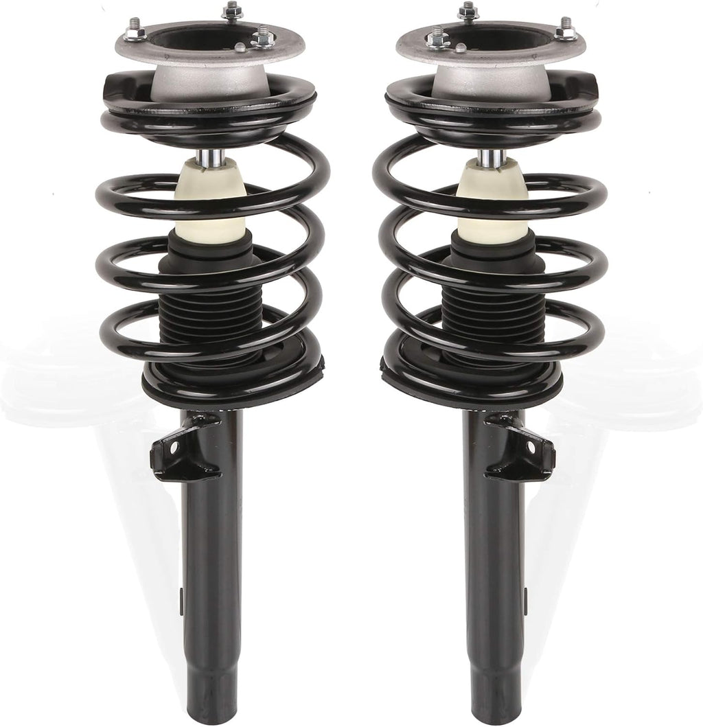 Front Complete Strut Assemblies (Set of 2) N8643