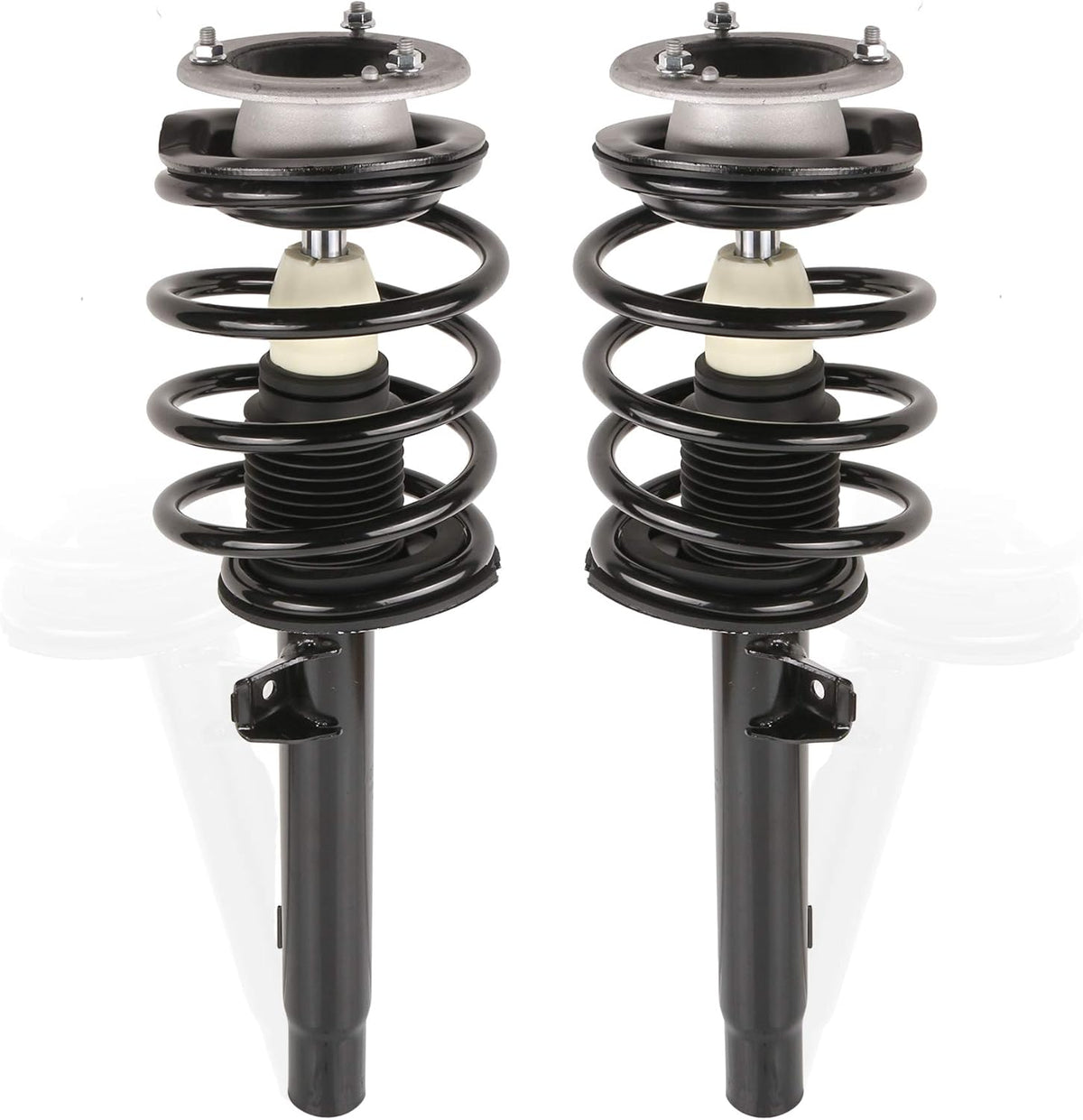 Front Complete Strut Assemblies (Set of 2) N8643