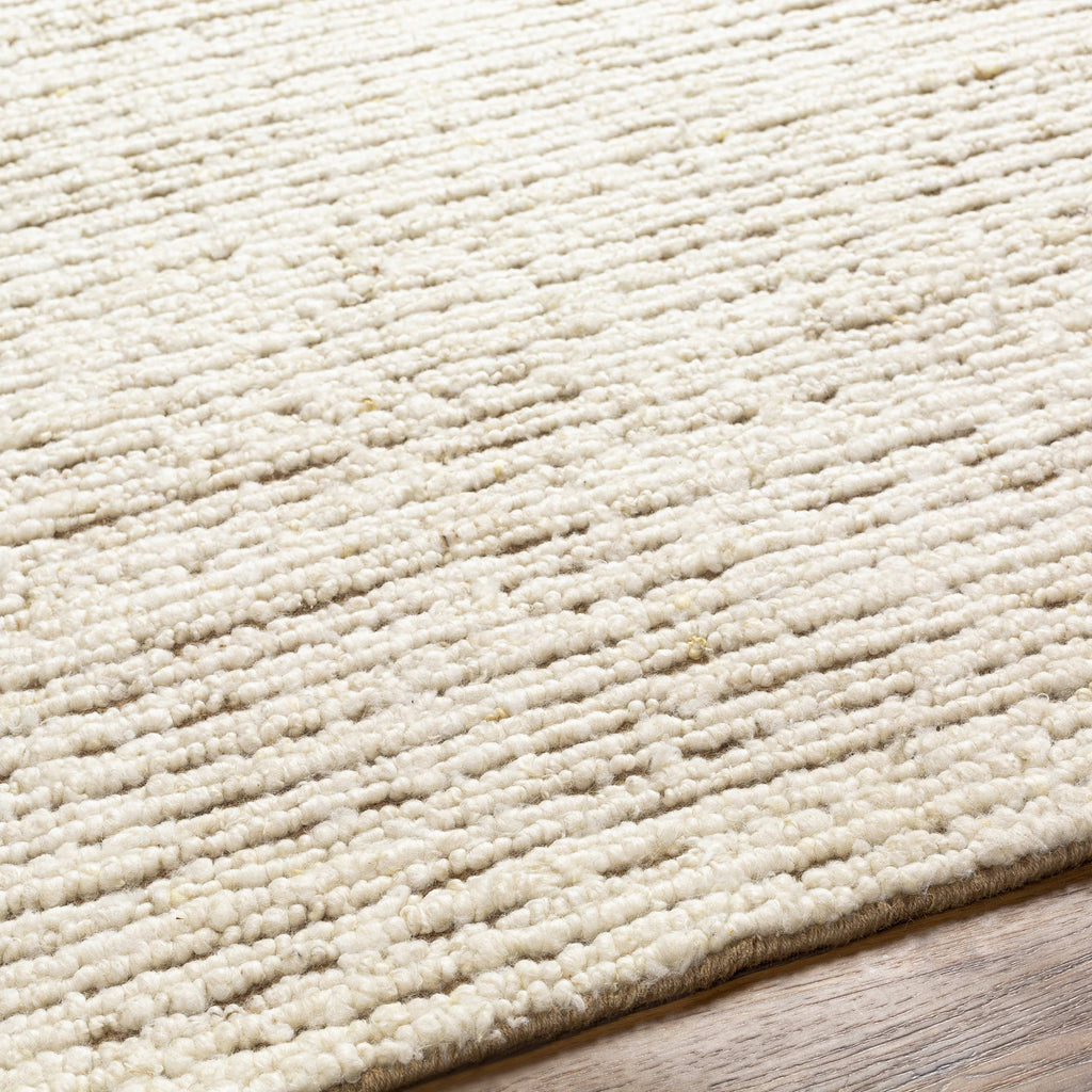 2x3 Beige Modern Area Rug C593