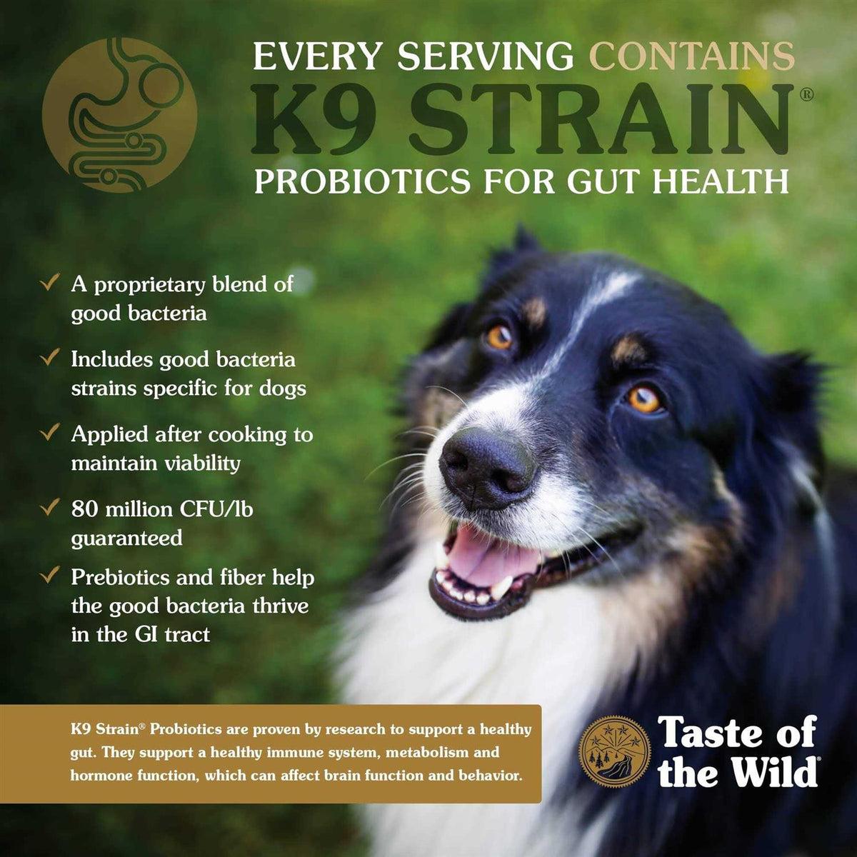 Southwest Canyon Dog Food I71623