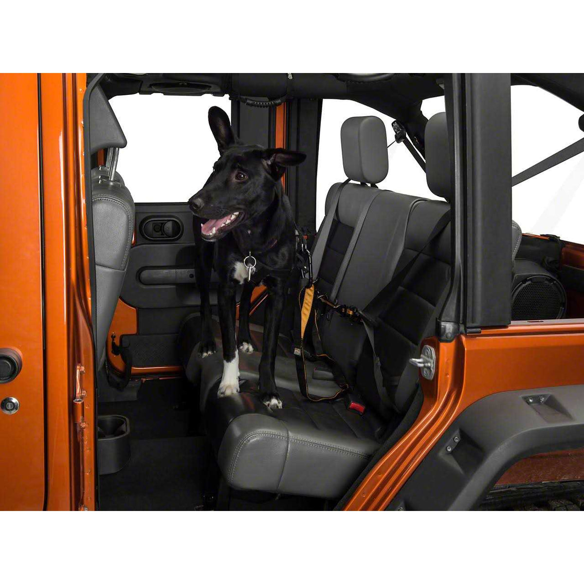 Pet Backseat Auto Zip Line with Leash F64108