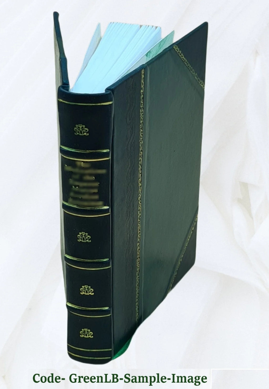 Leather Bound Book P709