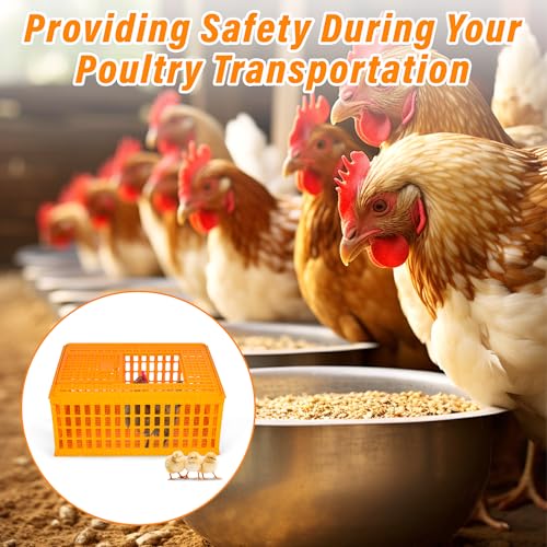 2PCS Plastic Poultry Carrier Crate, 29.5 x 21.7 x 13 Inch E439824
