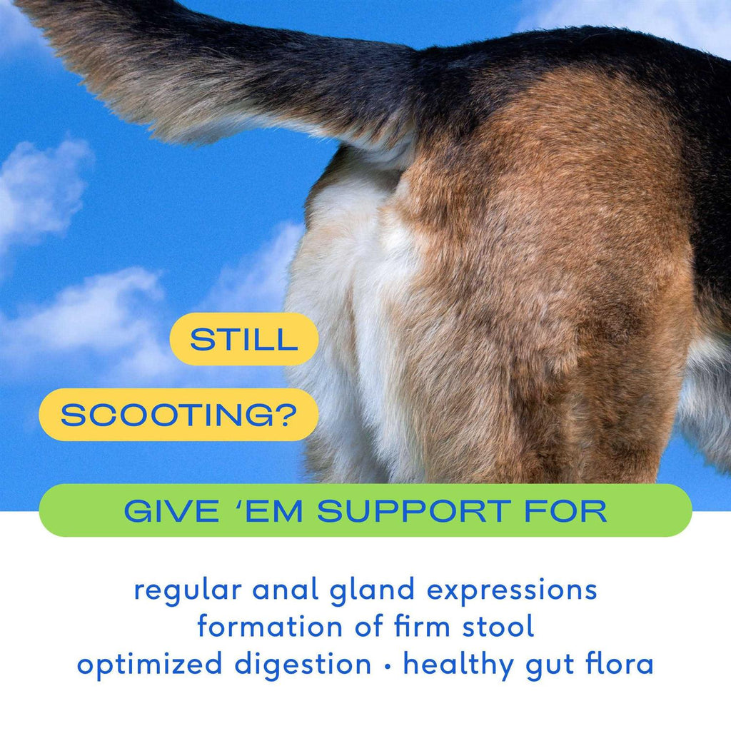 Anal Gland Supplement for Dogs H9689