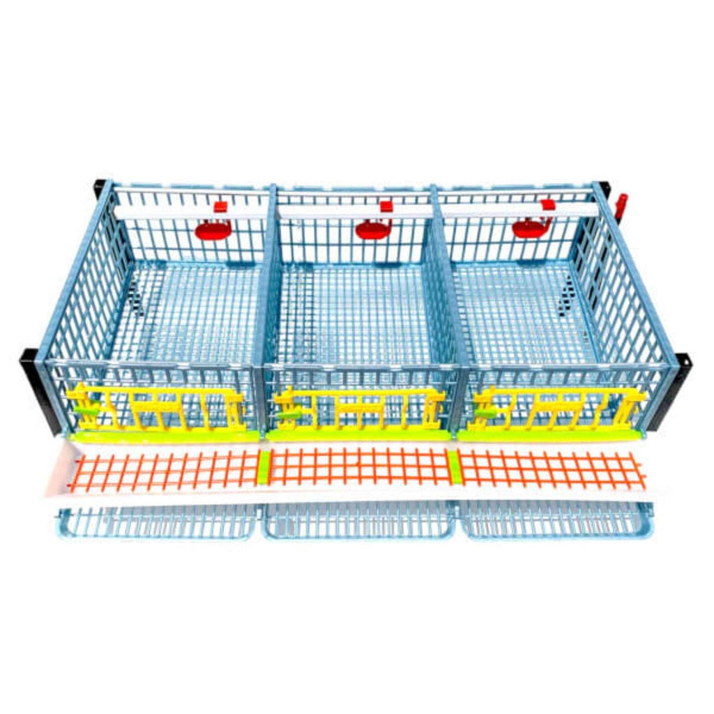 Partridge Cage 1 Layer T618