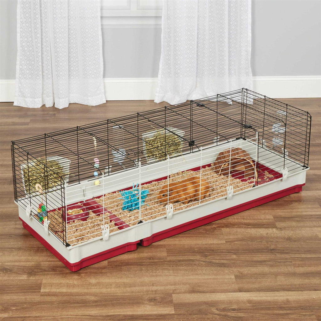 Rabbit Home R873
