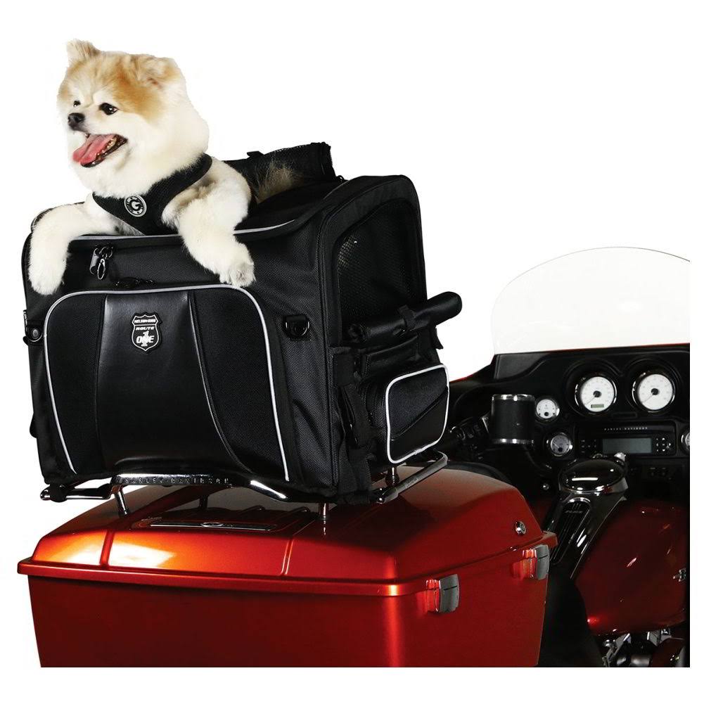 Pet Carrier H80872