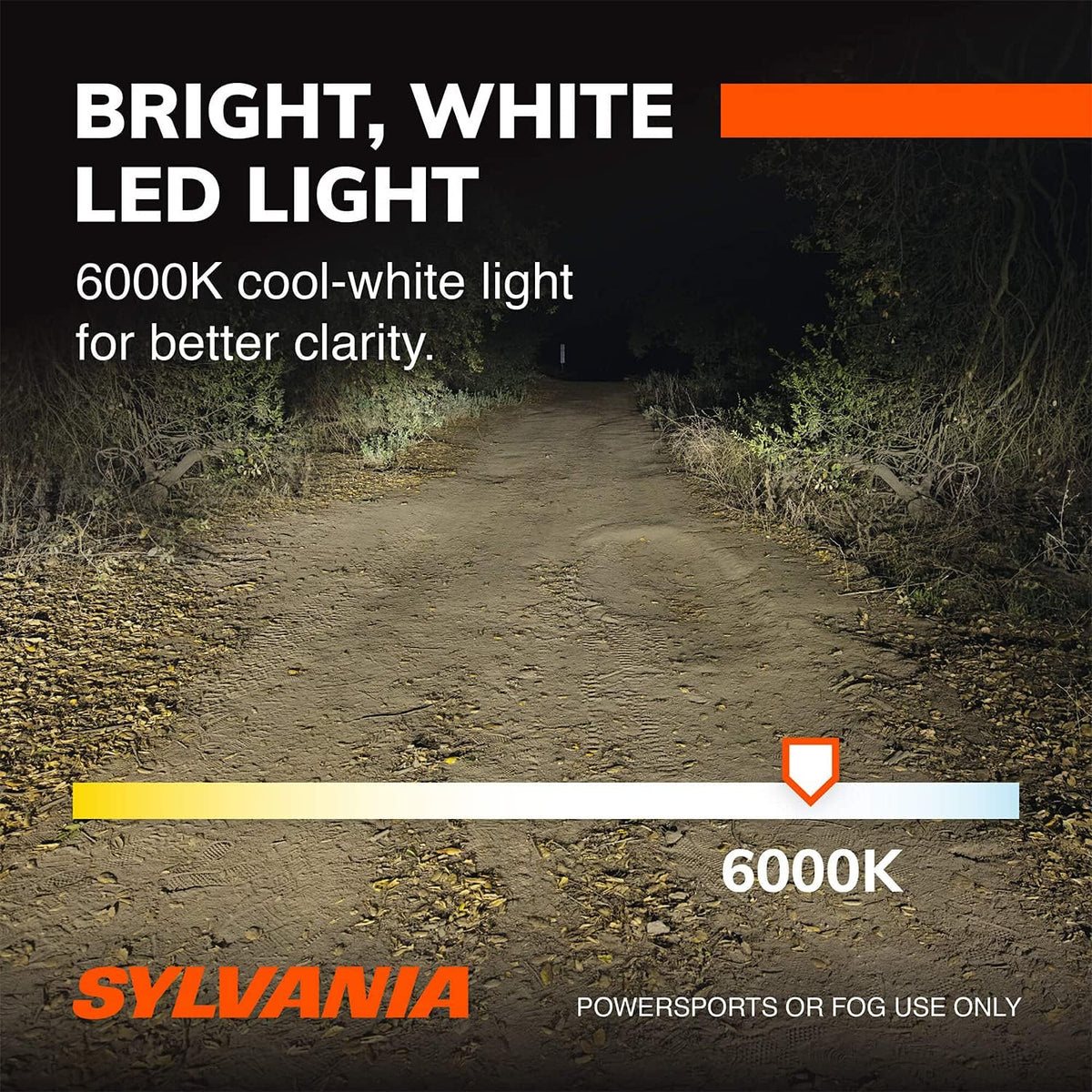 H13 6000K LED Headlight Replacement Bulbs, Cool White (2 Pack) T86384