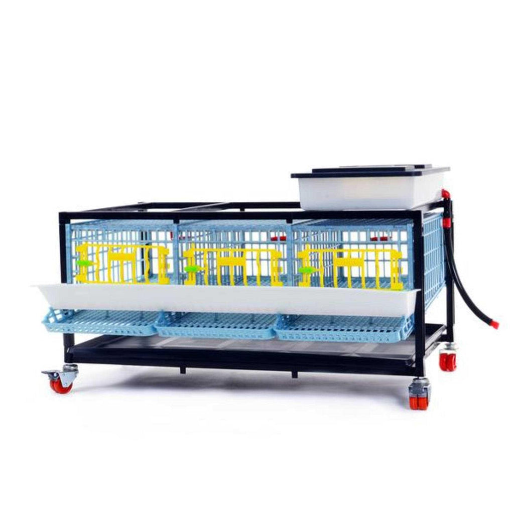 Partridge Cage 1 Layer T618