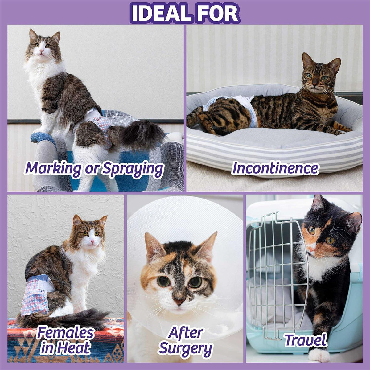 Disposable Cat Diapers X60524