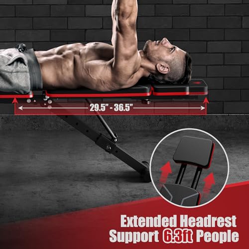 Adjustable Weight Bench with Leg Extension and Preacher Pad R350
