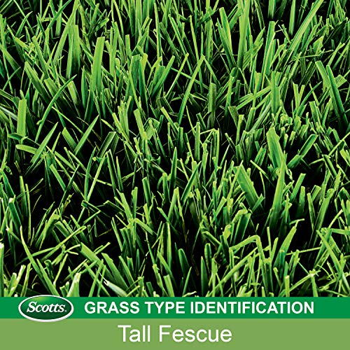 4.75 lbs. Tall Fescue Grass Seed, Fertilizer, and Mulch Mix Y63336