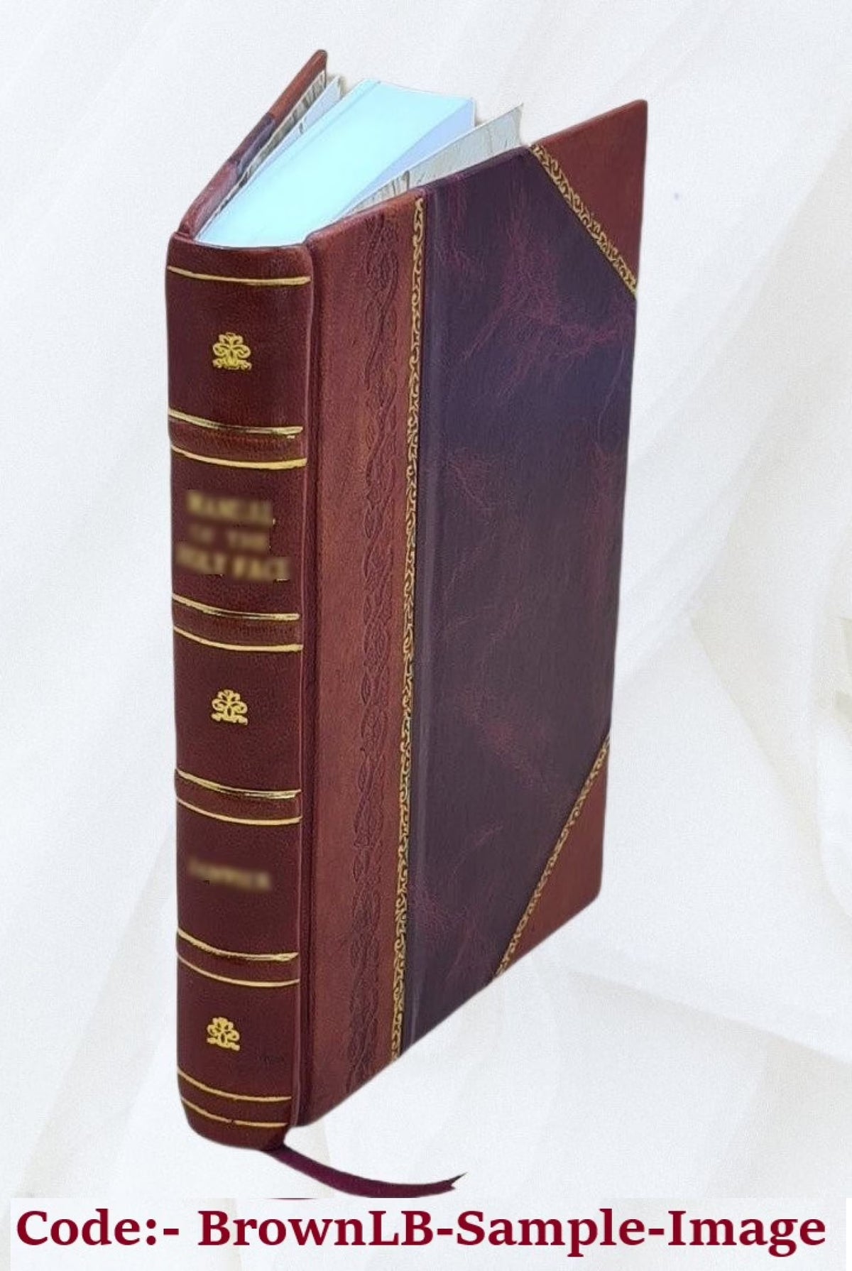 Leather Bound Book P709