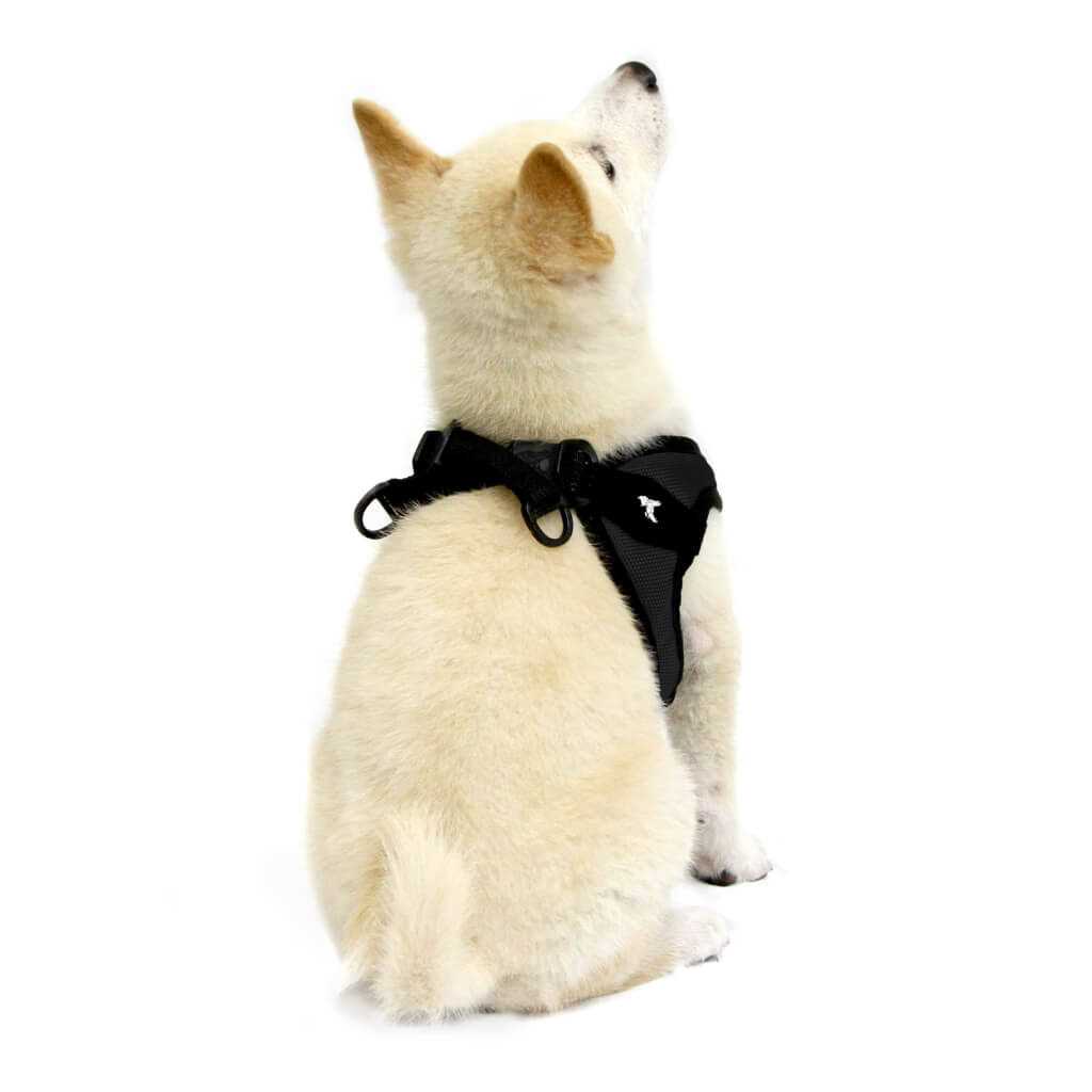 Dog Harness B23985