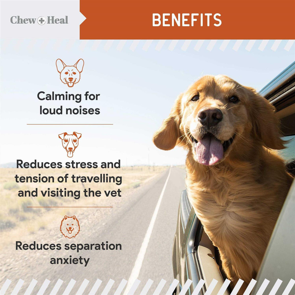 Anxiety & Stress Calming Soft Chews H450778