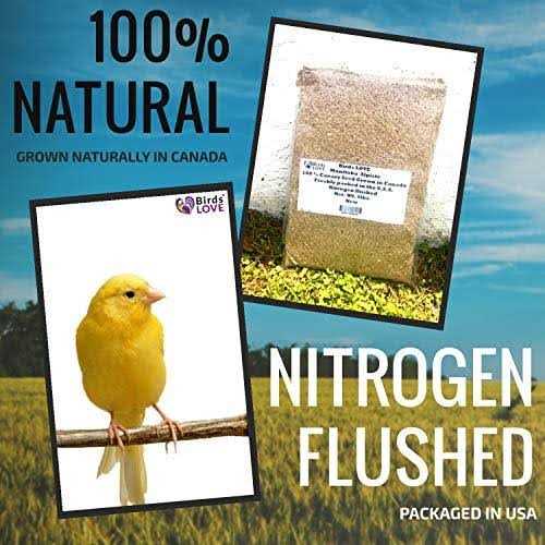 Canary Seed for Canaries and Finch Birds C969