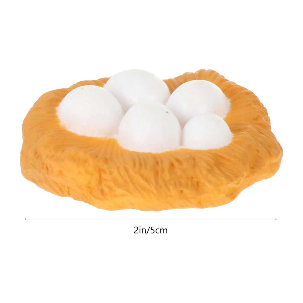 4pcs Chick Life Cycle Model Educational Toys U58958