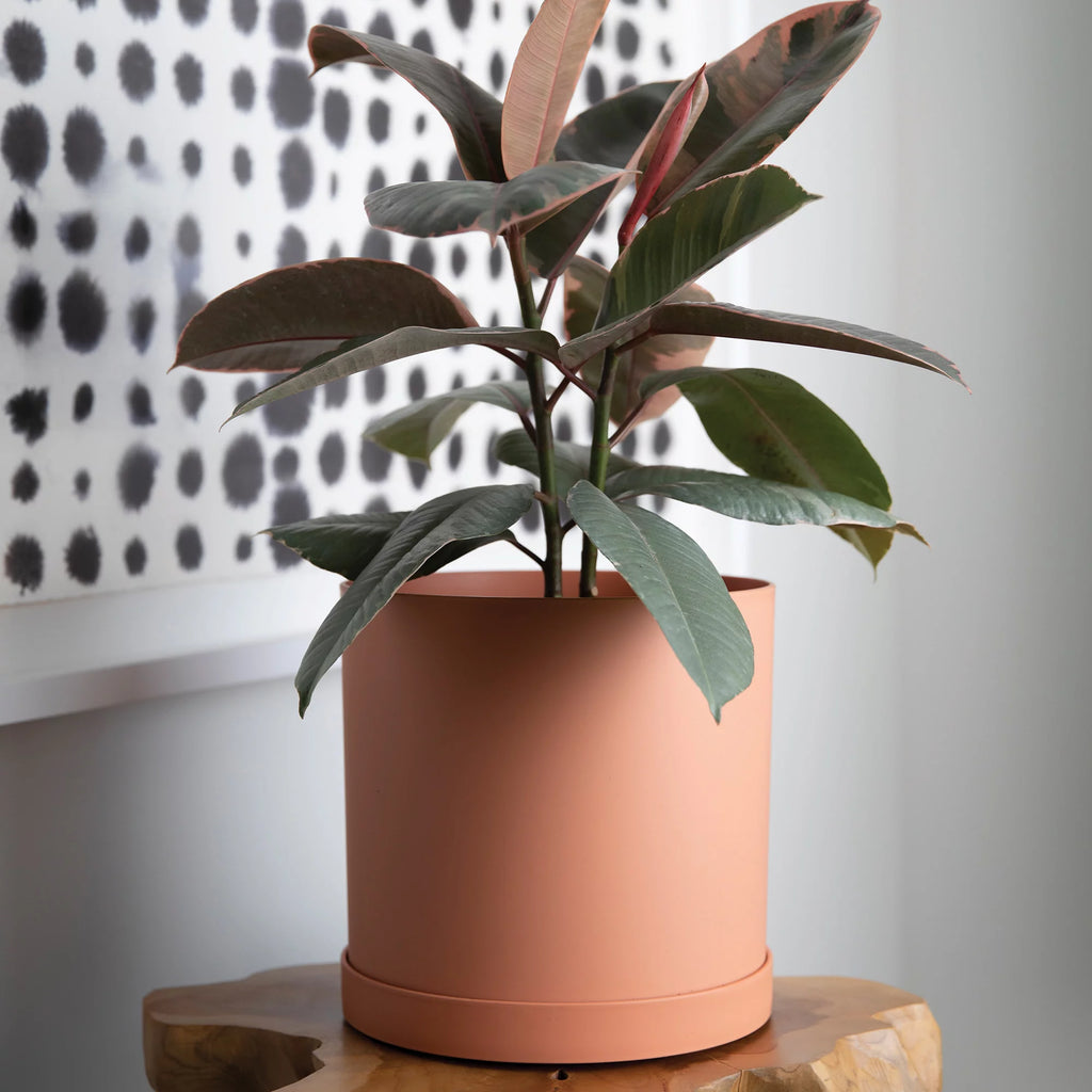 12-in Round Resin Planter with Saucer V2815