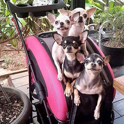 5-in-1 Pet Carrier with Backpack and Shoulder Strap A9957