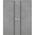Sliding French Double Pocket Doors 48 x 84 inches Solid Wood Interior Doors Z775