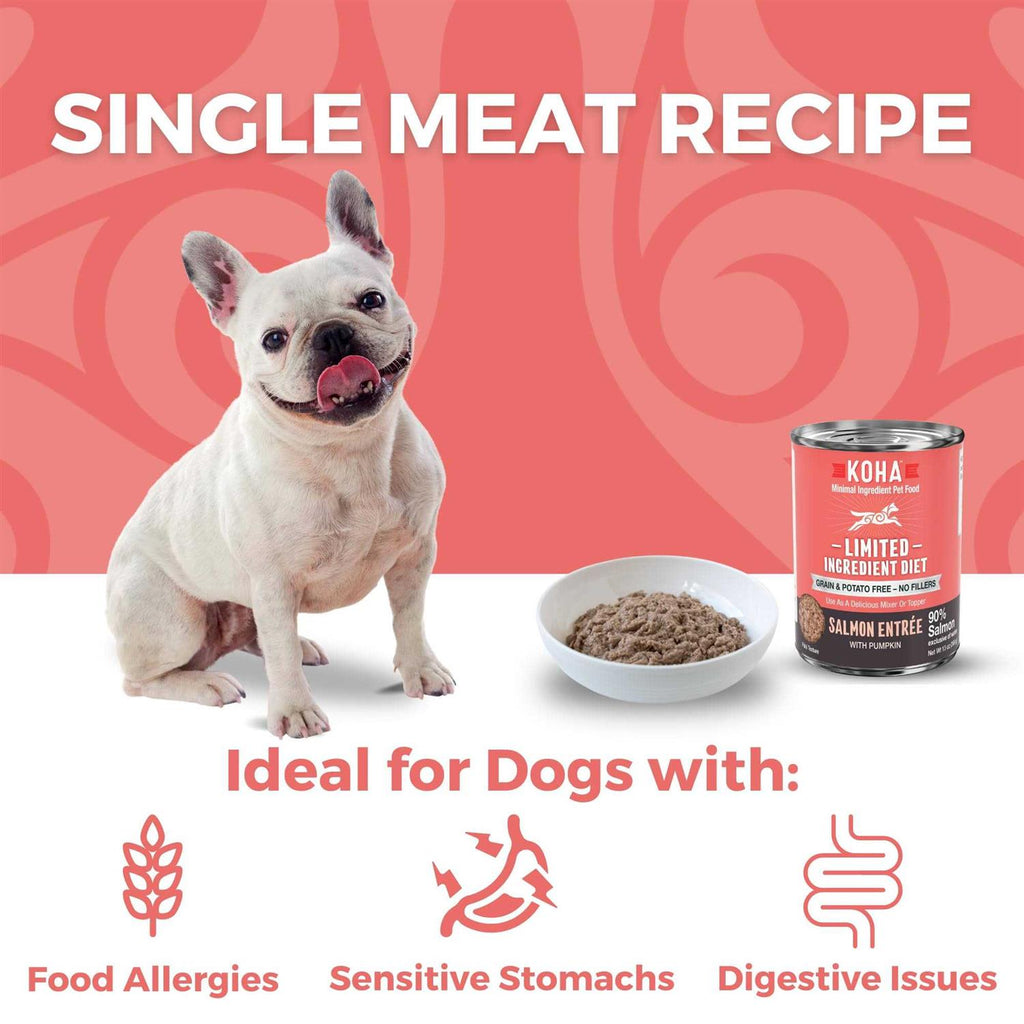 Grain & Potato Free Salmon Entree Canned Dog Food P748