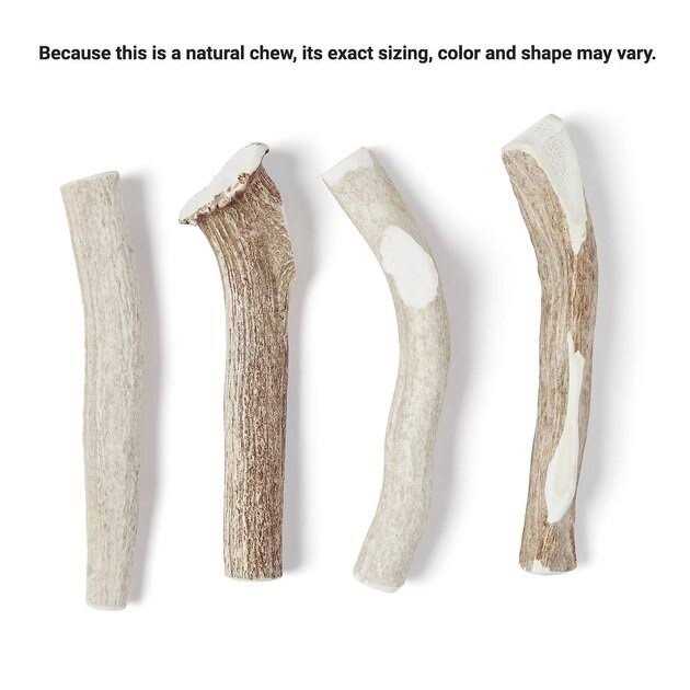 Deer Antler Dog Chew L191358