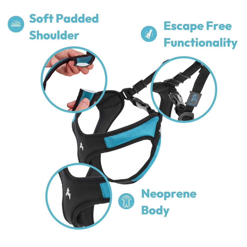 Dog Harness B23985
