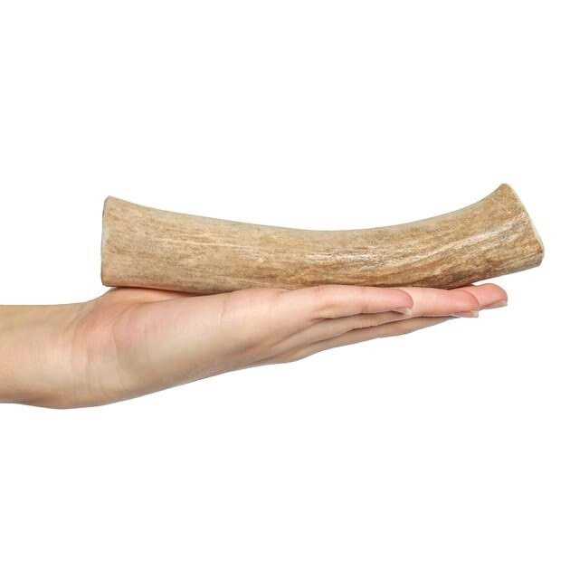 Deer Antler Dog Chew L191358