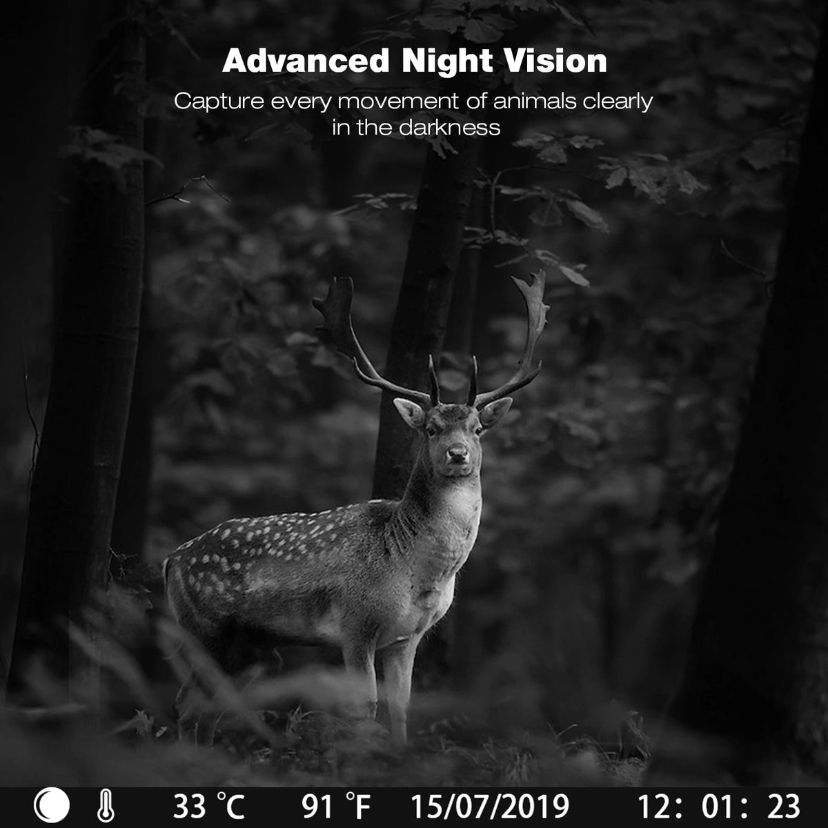 1080P Waterproof Game Camera with Night Vision and SD Card Y1027