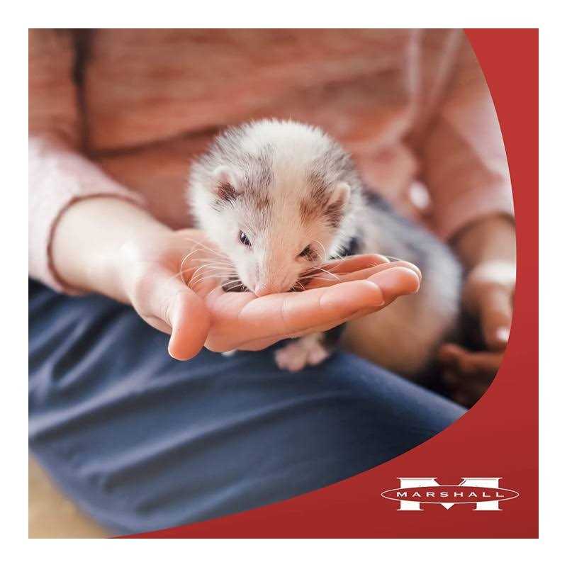 Premium Diet Pet Supplies Z12460