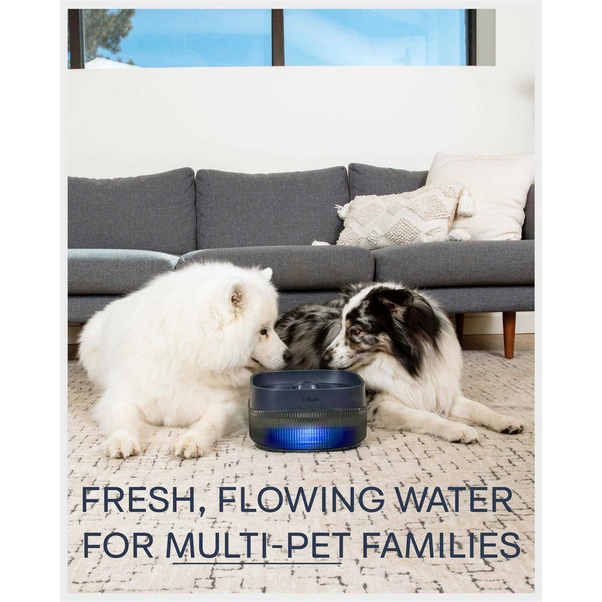 4L Automatic Dog Water Fountain I767906