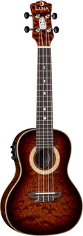 15th Anniversary Concert Ukulele G616