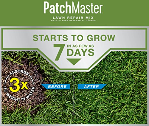 4.75 lbs. Tall Fescue Grass Seed, Fertilizer, and Mulch Mix Y63336