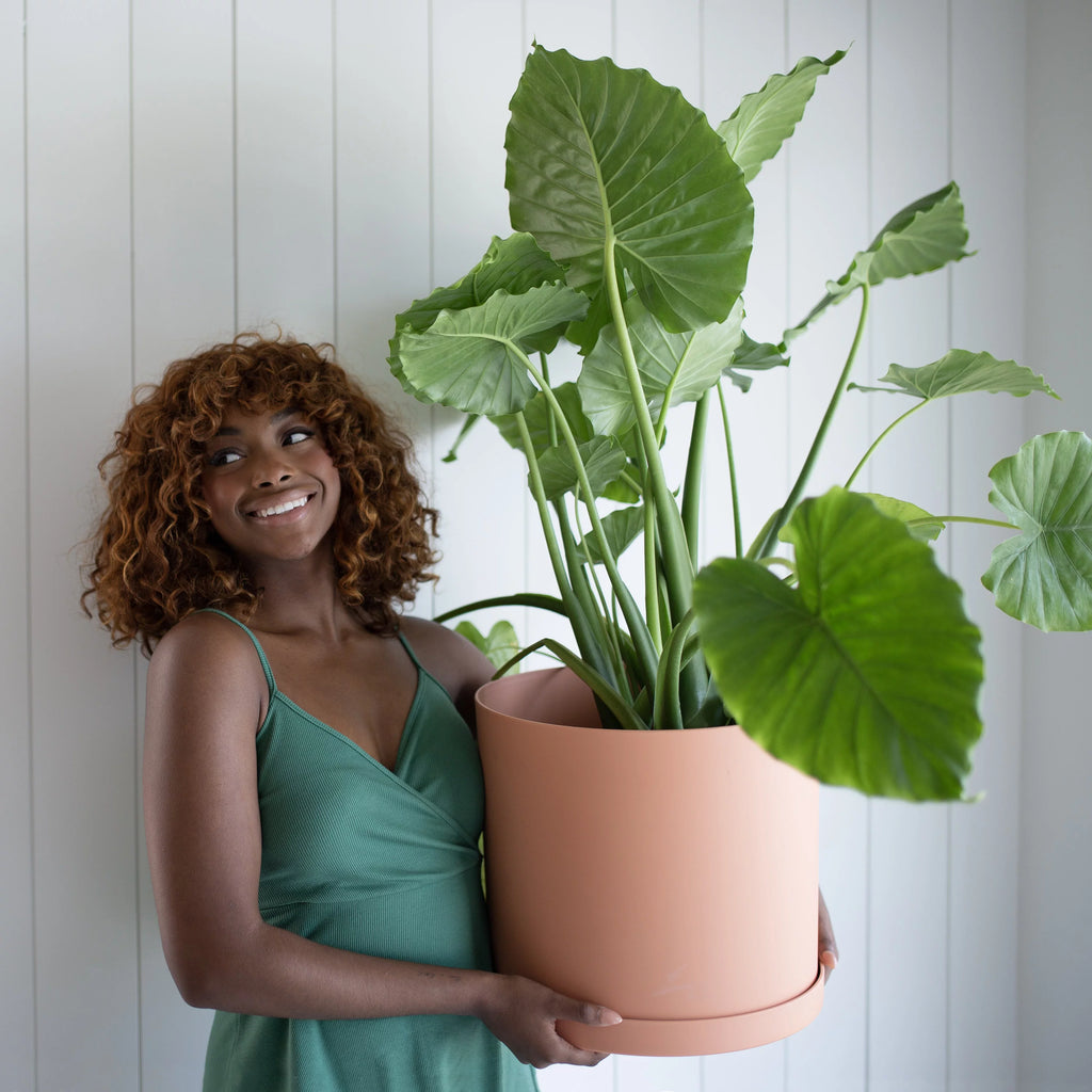 12-in Round Resin Planter with Saucer V2815