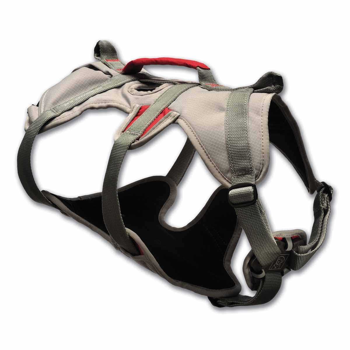 Doubleback Harness Q187833