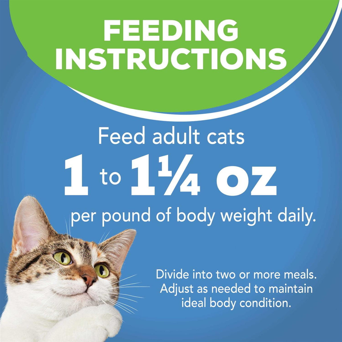 Ocean Whitefish Canned Cat Food K154421