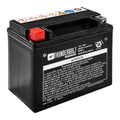 12V 160 CCA AGM Battery W6490