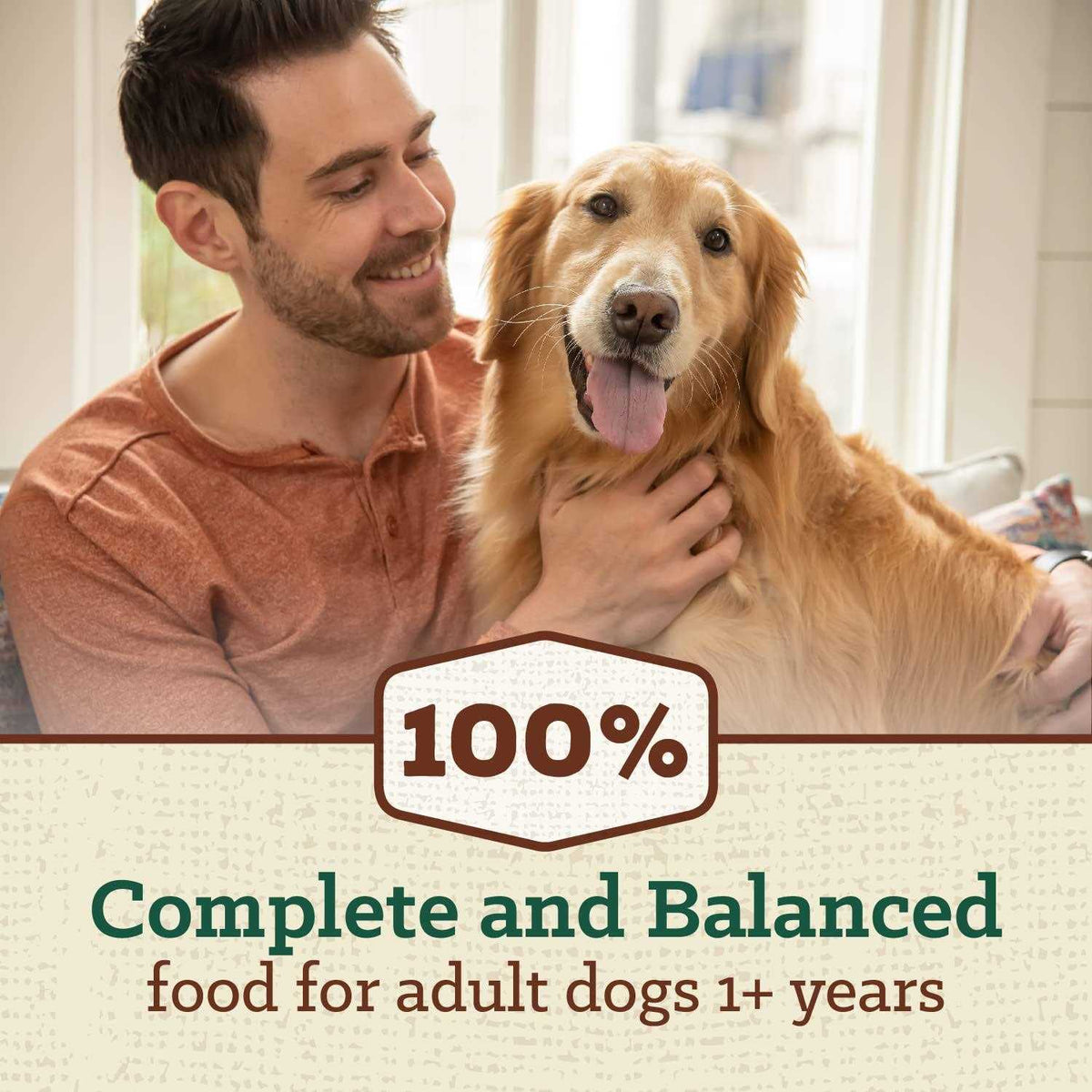 Dry Dog Food Adult Recipe V531369