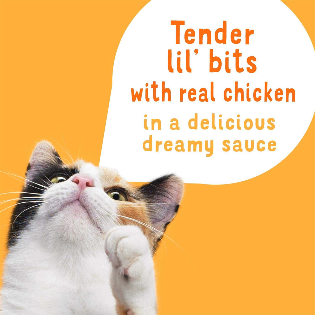 Shredded Chicken in Sauce Wet Cat Food Complement S657