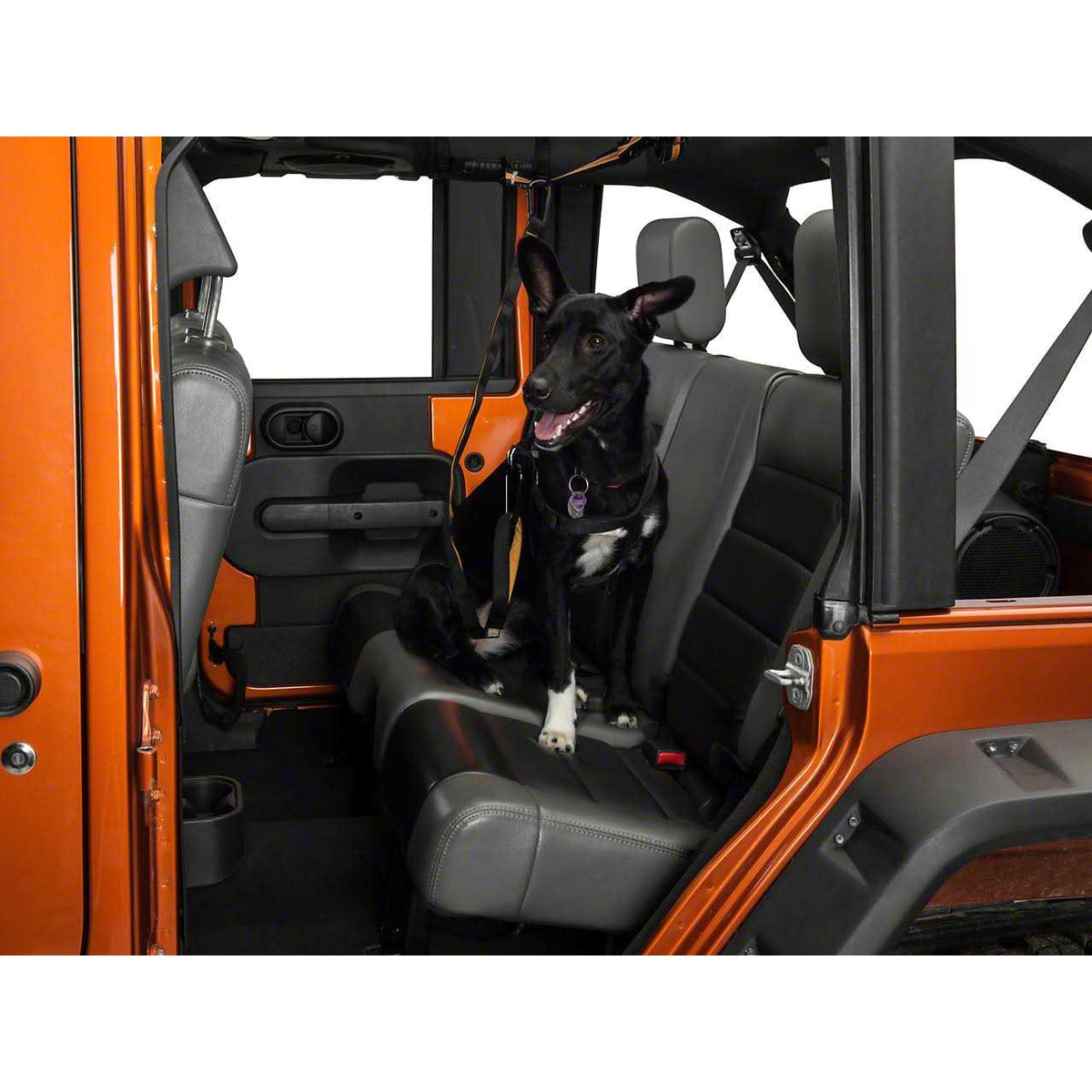 Pet Backseat Auto Zip Line with Leash F64108