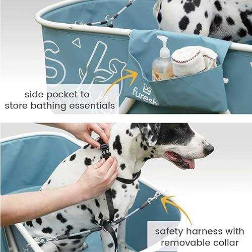 Big Dog Bath Tub with Stairs V173