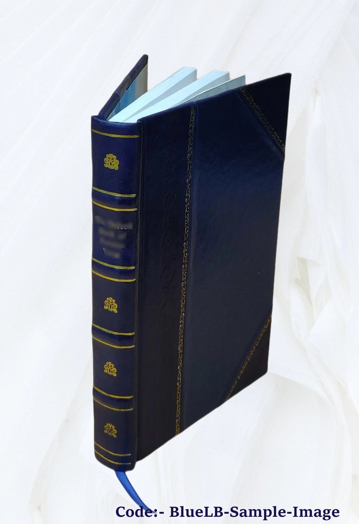 Leather Bound Book P709