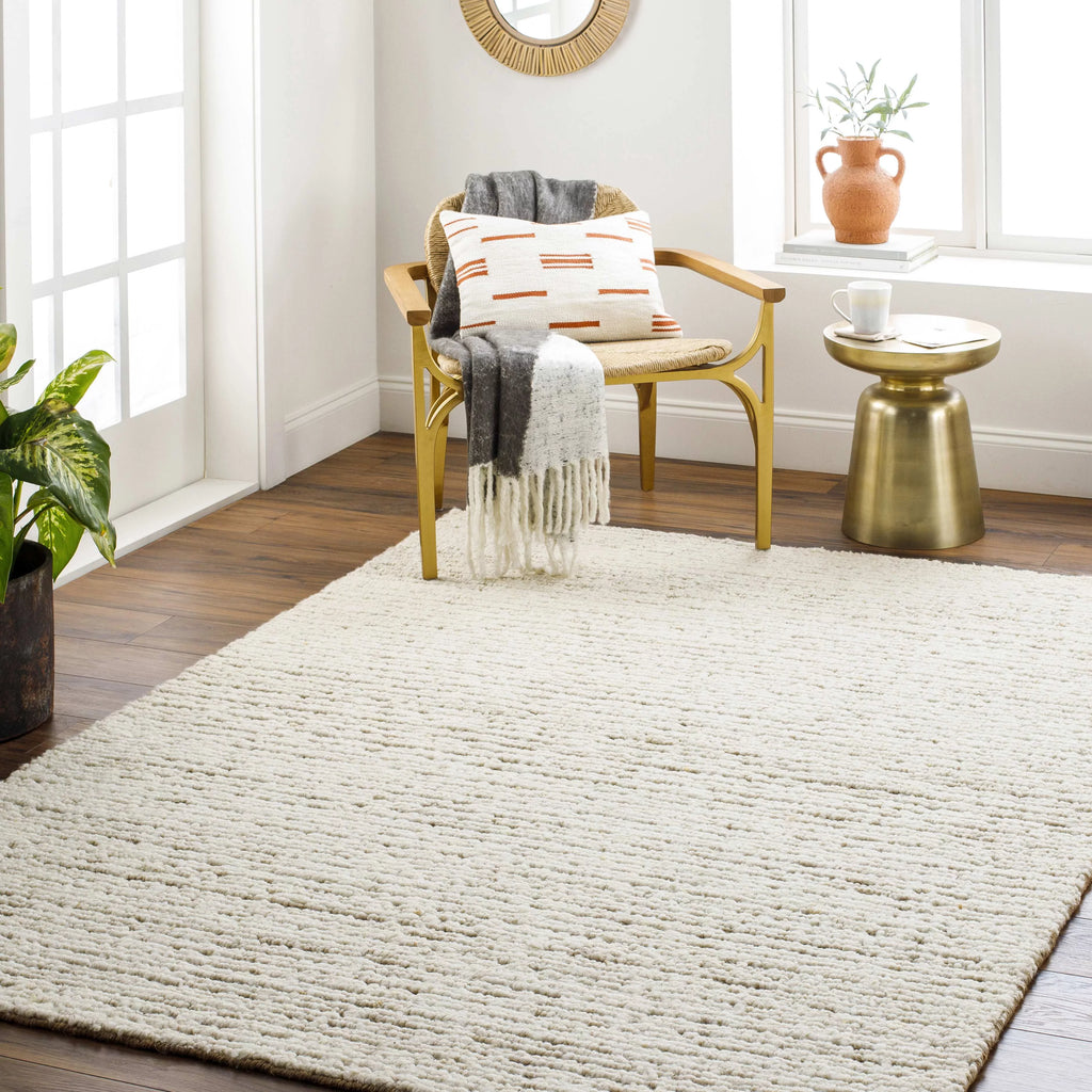 2x3 Beige Modern Area Rug C593