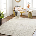 2x3 Beige Modern Area Rug C593