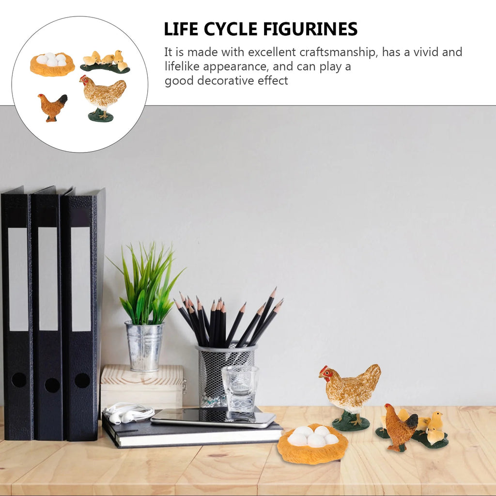 4pcs Chick Life Cycle Model Educational Toys U58958