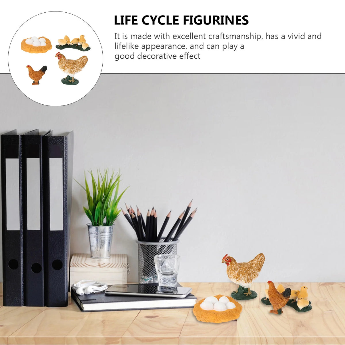 4pcs Chick Life Cycle Model Educational Toys U58958