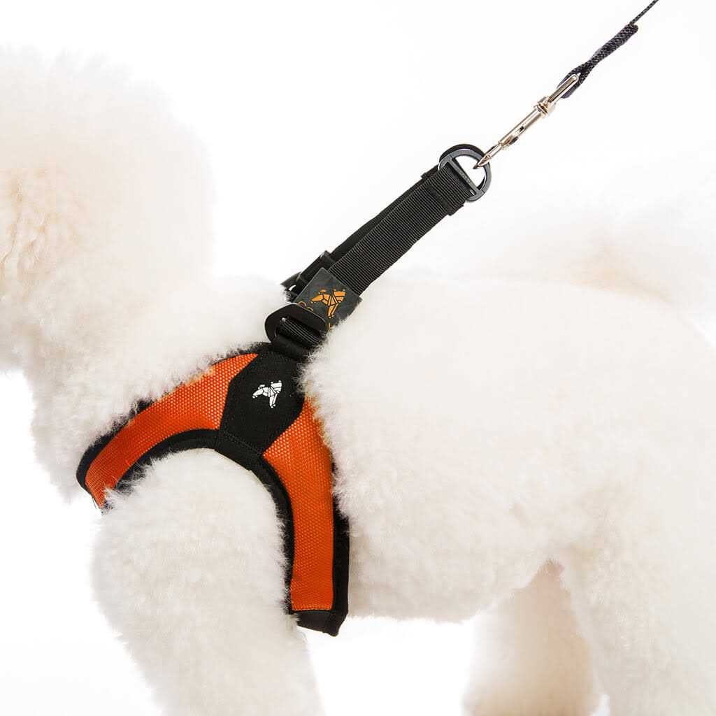 Dog Harness B23985
